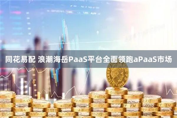 同花易配 浪潮海岳PaaS平台全面领跑aPaaS市场