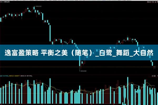 逸富盈策略 平衡之美（随笔）_白鹭_舞蹈_大自然